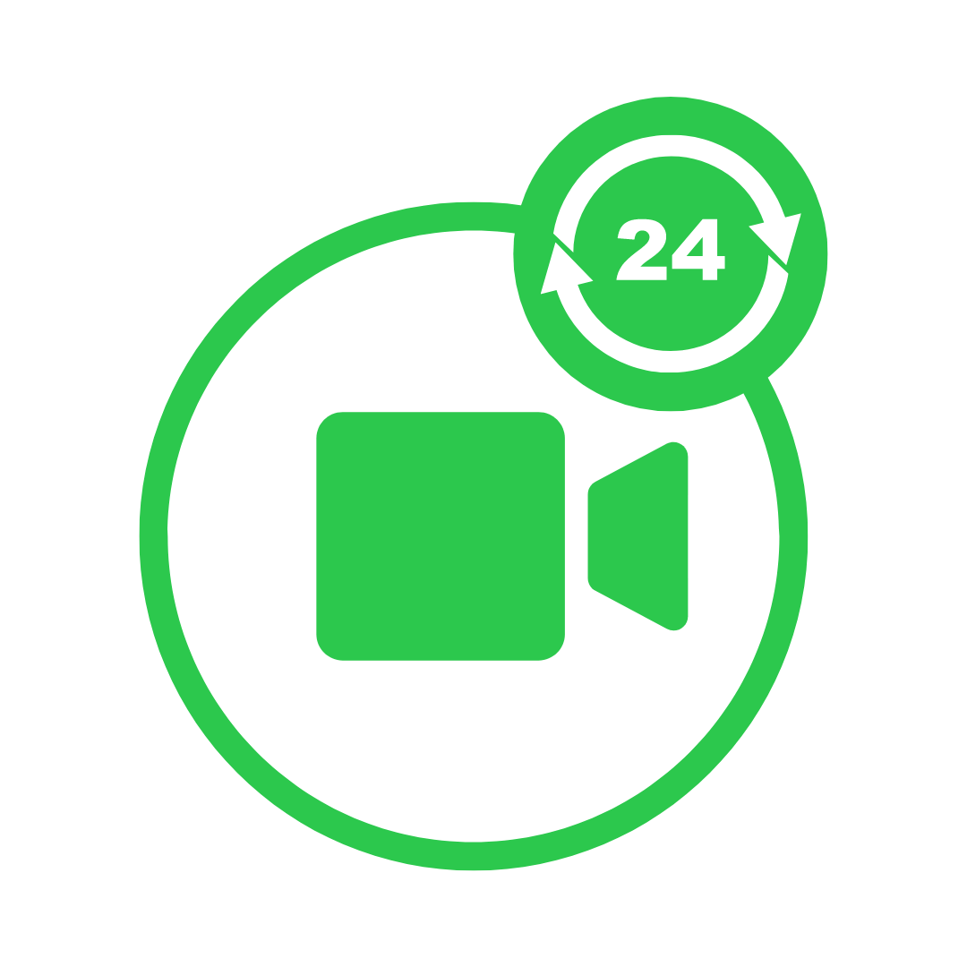 icon 24-Hour Surveillance