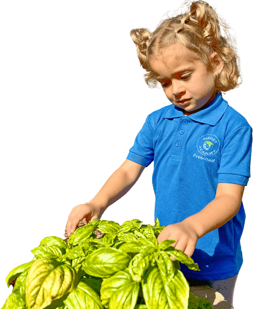 Piaget Academy - Health and Safety